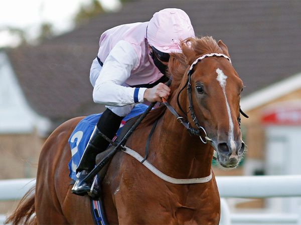 APOLLO ONE will be offered in the Tattersalls Online November Sale 