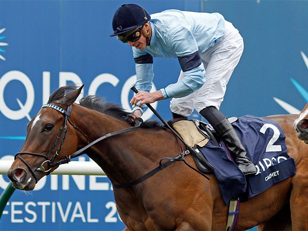 A half-sister to Group 1 1000 Guineas winner CACHET will be offered in the Tattersalls Online December Sale 