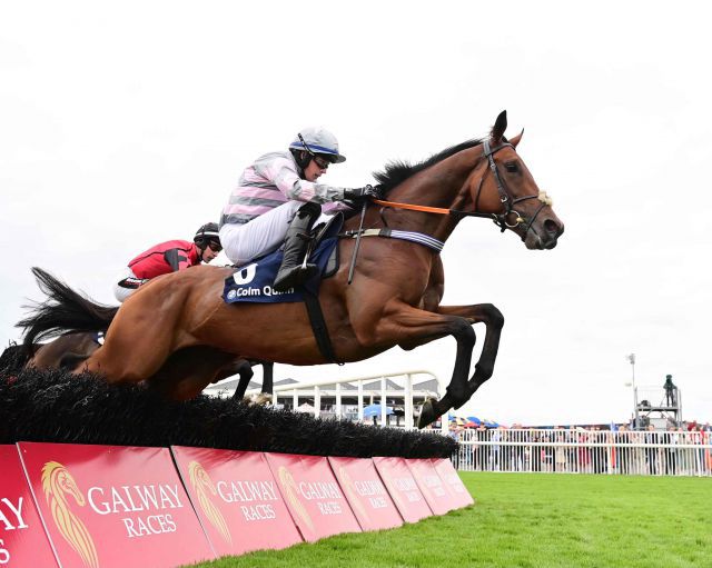 Flaming Moon Galway Festival Listed winner will be offered at the Tattersalls Online August Sale by Matthew Smith Racing 