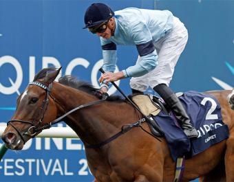 A half-sister to Group 1 1000 Guineas winner CACHET will be offered in the Tattersalls Online December Sale