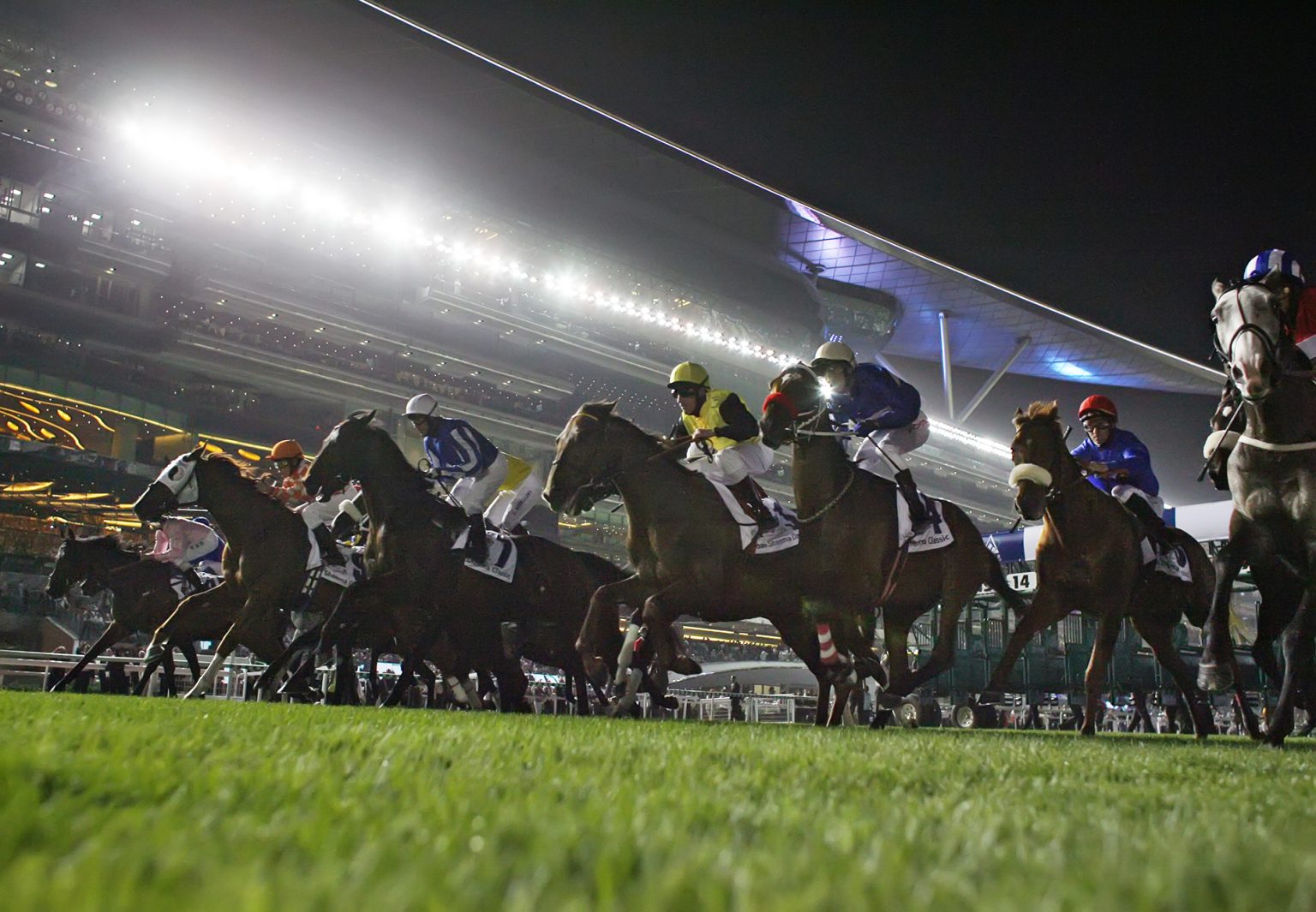 Tattersalls Online and Emirates Racing Authority Announce New Online ...